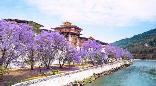 Happiness Tours Summer