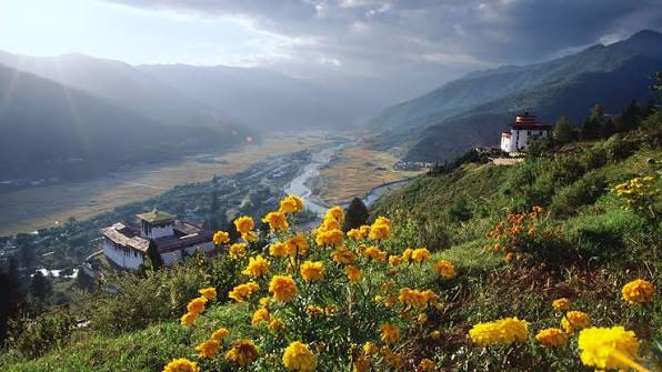 Valley